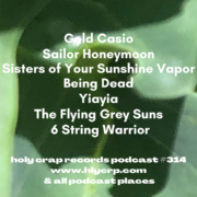 Ep 314! With​​ music by: Gold Casio, Sailor Honeymoon, Sisters of Your Sunshine Vapor, Being Dead, Yiayia, The Flying Grey Suns, 6 String Warrior