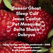 Ep 318! With​​ music by: Sensor Ghost, Sleep Cult, Jesus Casino, Pet Mosquito, Delta Shake, Dobryva