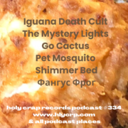 Ep 334! With​​ music by: Iguana Death Cult, The Mystery Lights, Go Cactus, Pet Mosquito, Shimmer Bed, Фангус Фрог